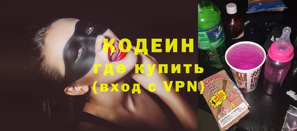 МДПВ Пересвет