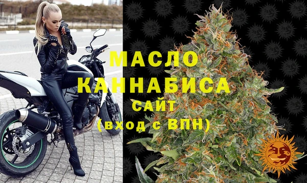 МДПВ Пересвет